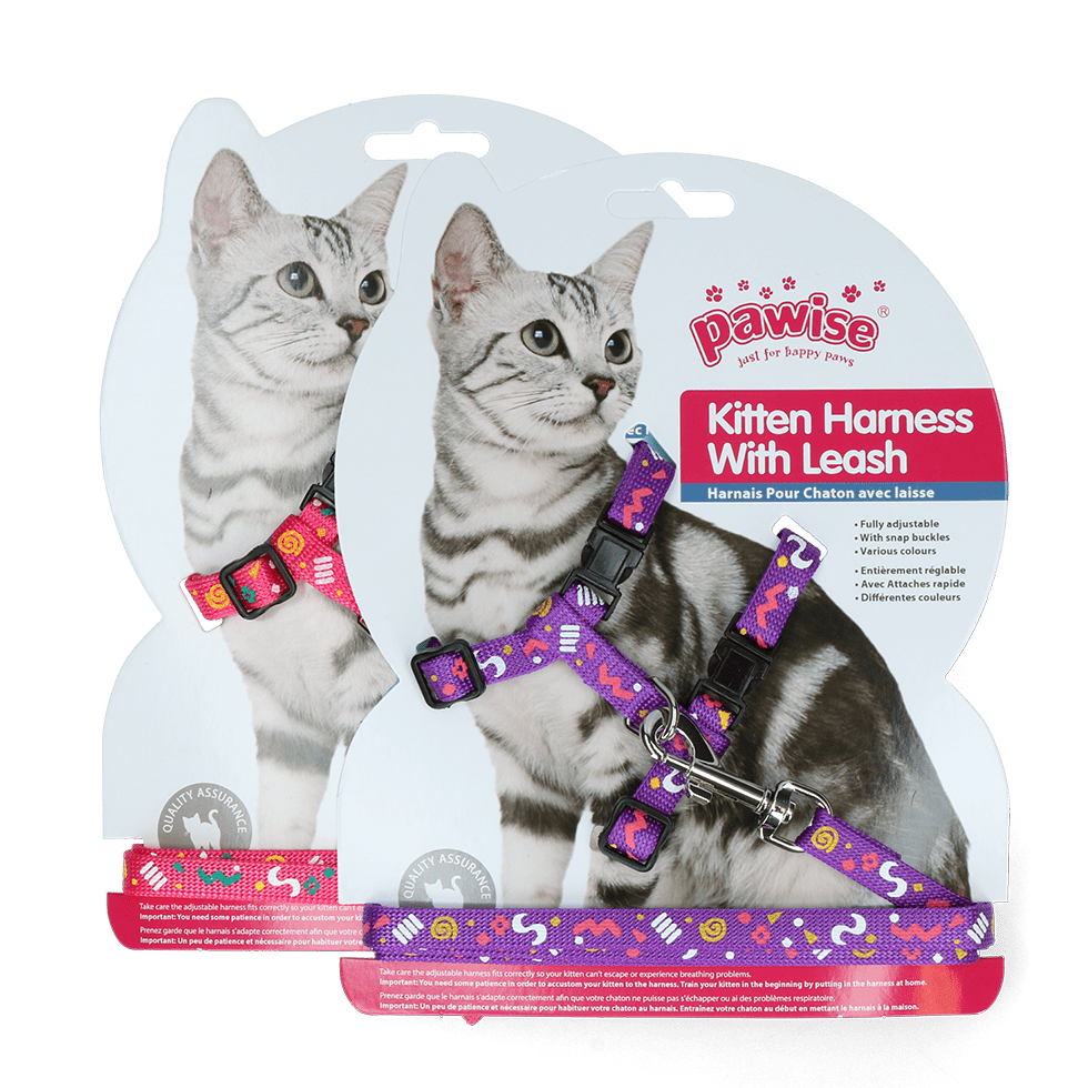 Pawise Kitten Harness With Leash Pink/Purple - all for animals