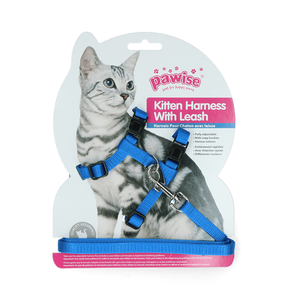 Pawise Kitten Harness With Leash Red/Blue - all for animals