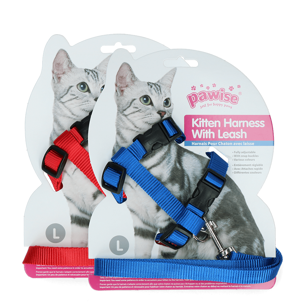 Pawise Kitten Harness With Leash Red/Blue - all for animals