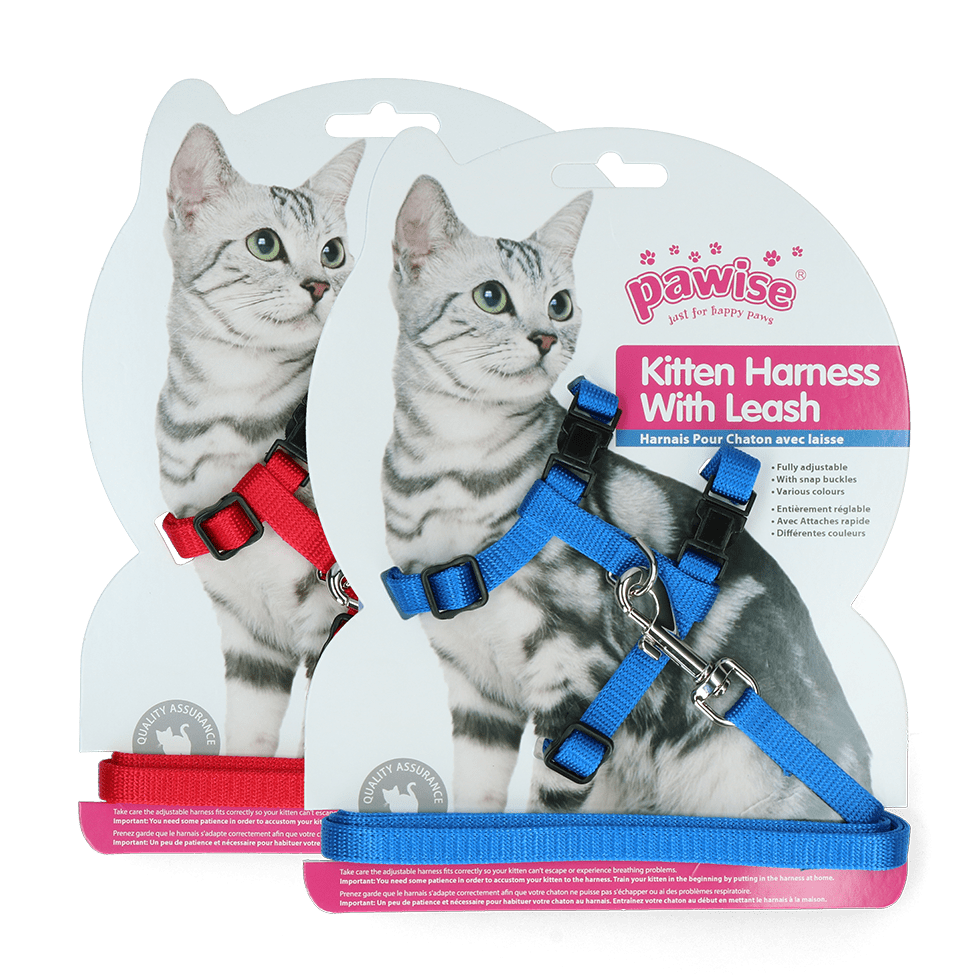 Pawise Kitten Harness With Leash Red/Blue - all for animals