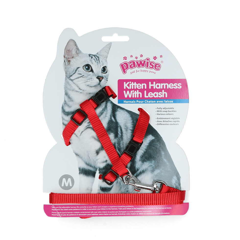 Pawise Kitten Harness With Leash Red/Blue - all for animals