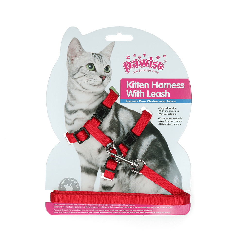 Pawise Kitten Harness With Leash Red/Blue - all for animals