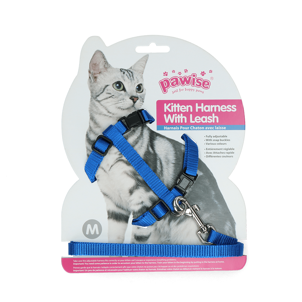 Pawise Kitten Harness With Leash Red/Blue - all for animals