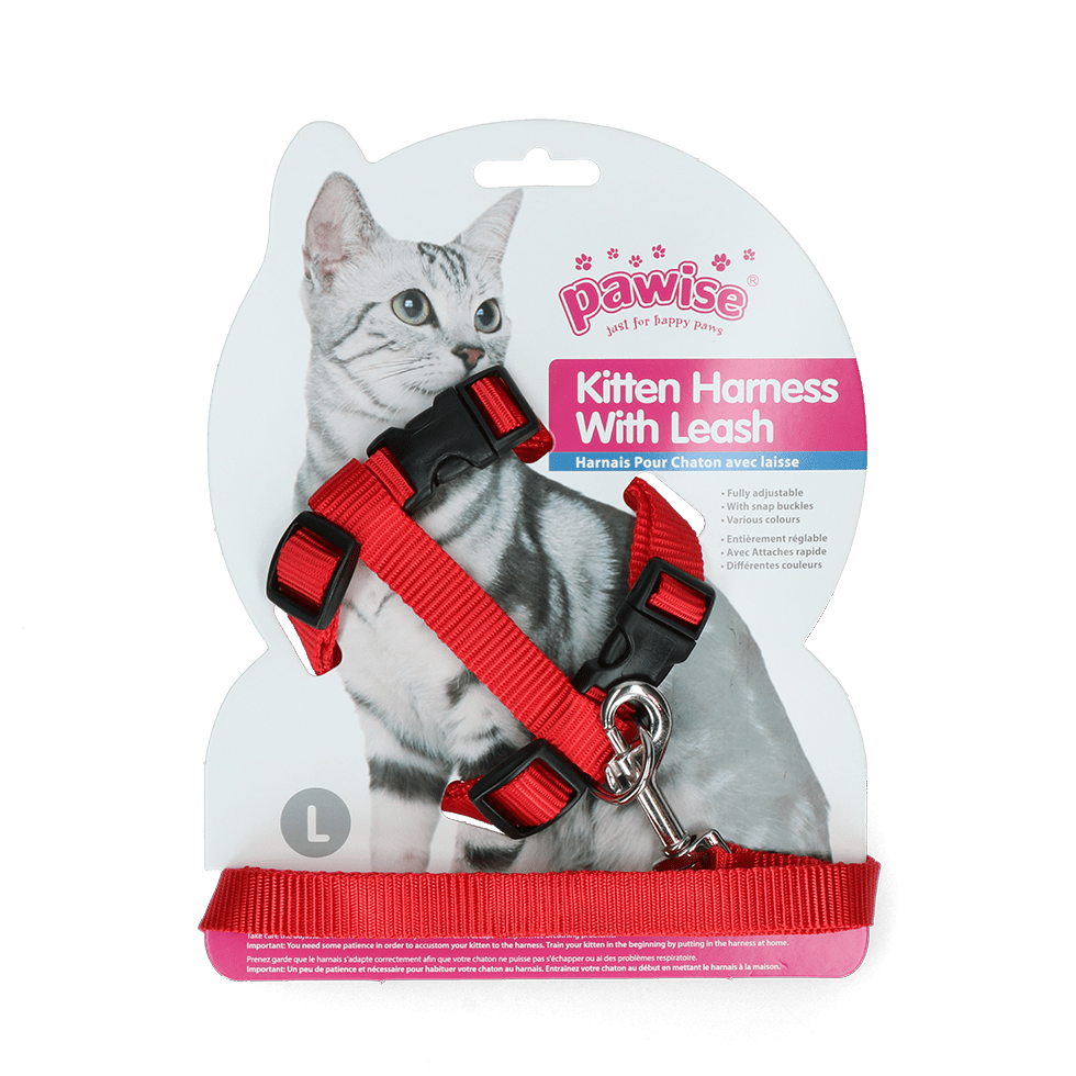 Pawise Kitten Harness With Leash Red/Blue - all for animals