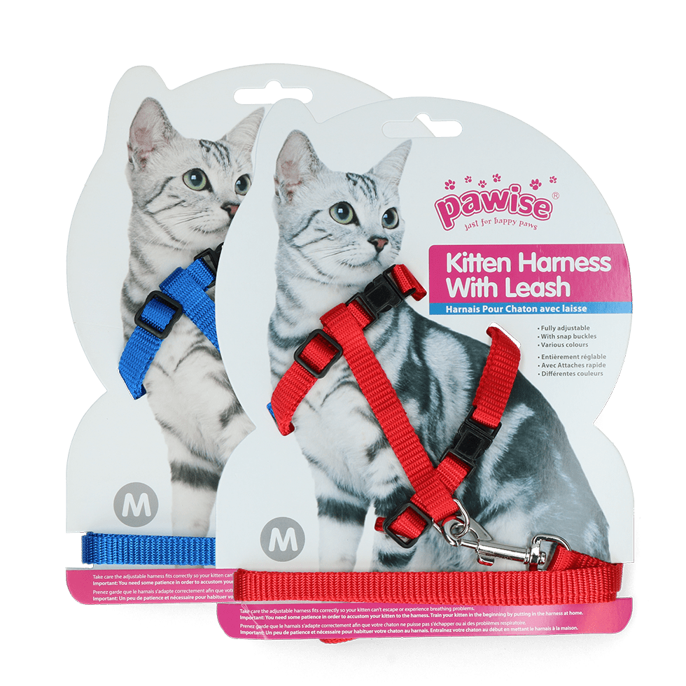 Pawise Kitten Harness With Leash Red/Blue - all for animals
