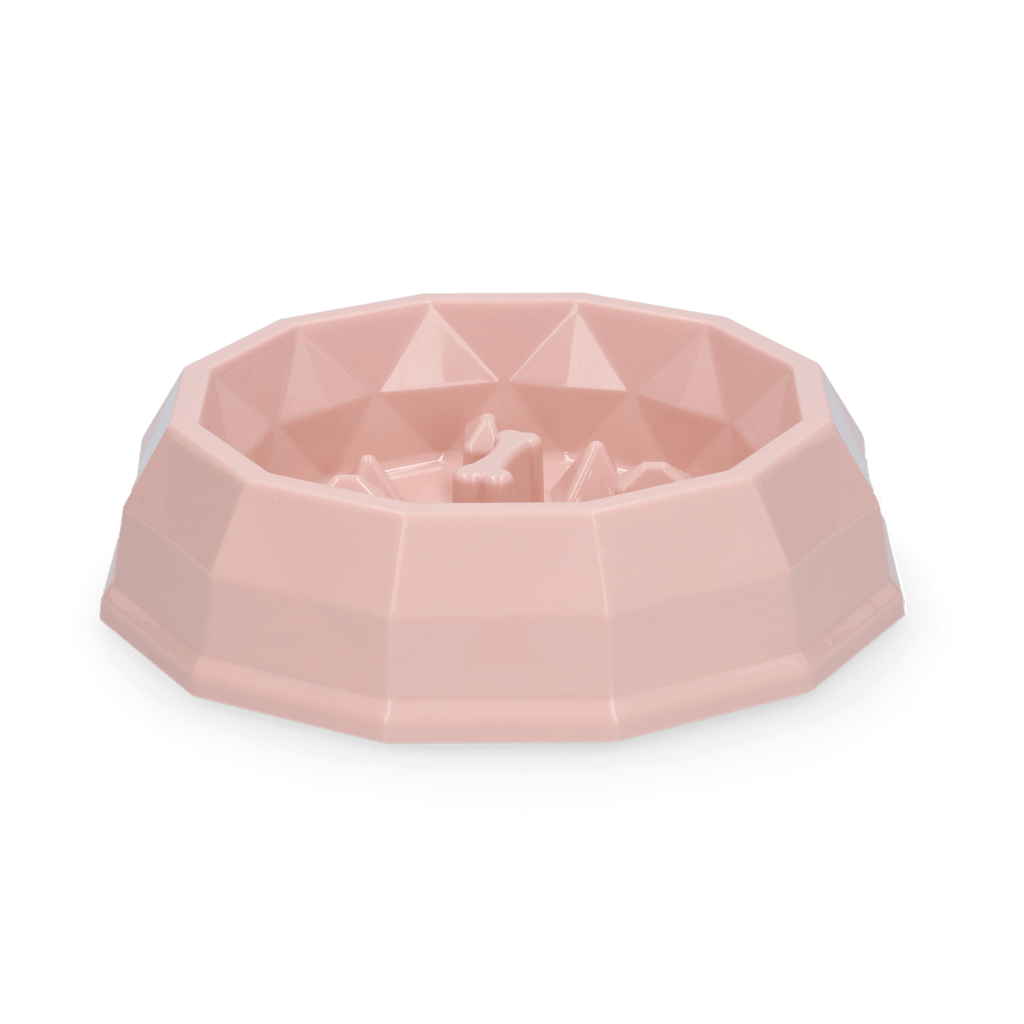 Pawise My Slow Feeding Bowl - all for animals