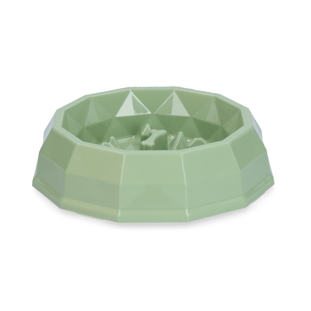Pawise My Slow Feeding Bowl - all for animals