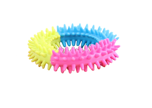 Pawise Rainbow World Ring - all for animals
