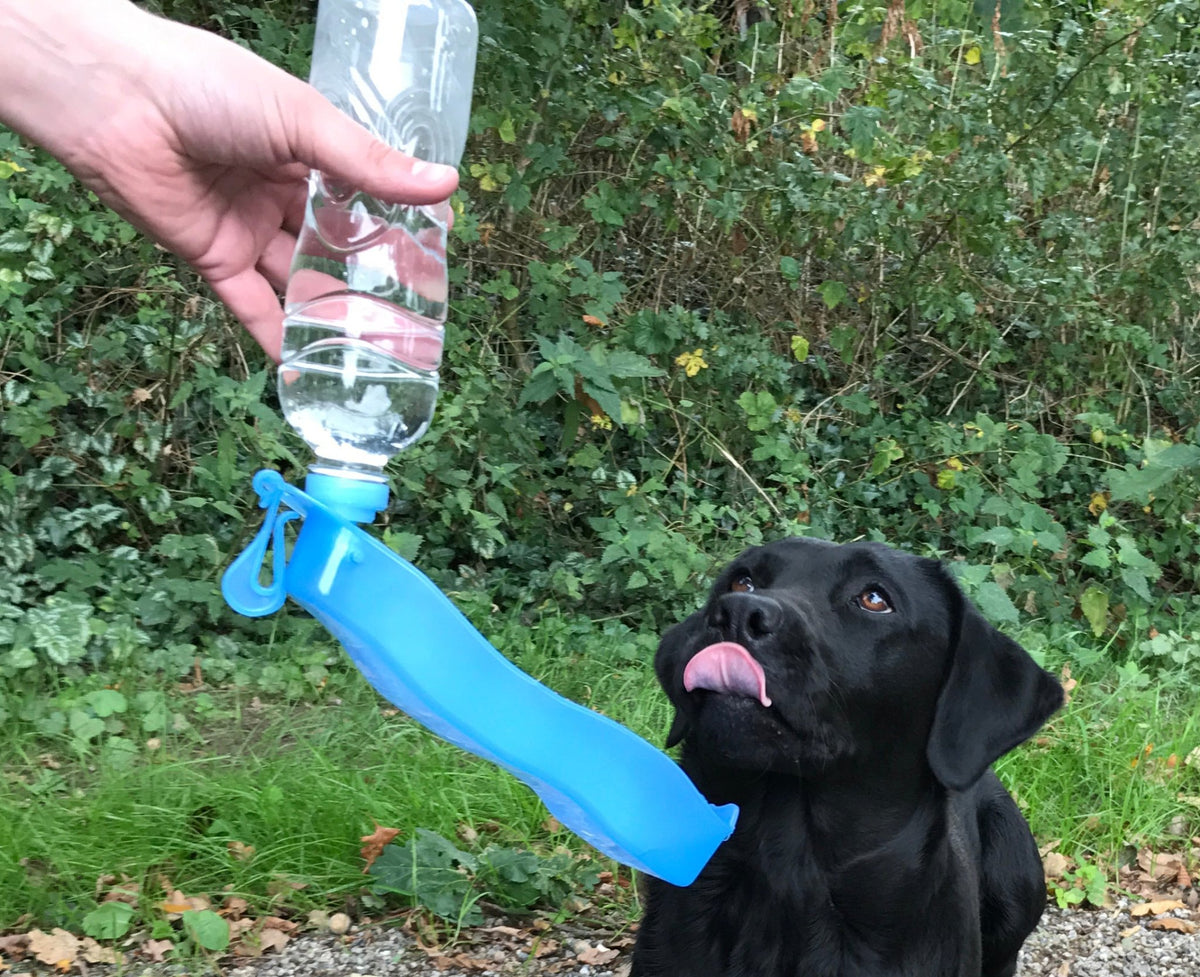 Pawise Travel Bottle 500 ml - all for animals