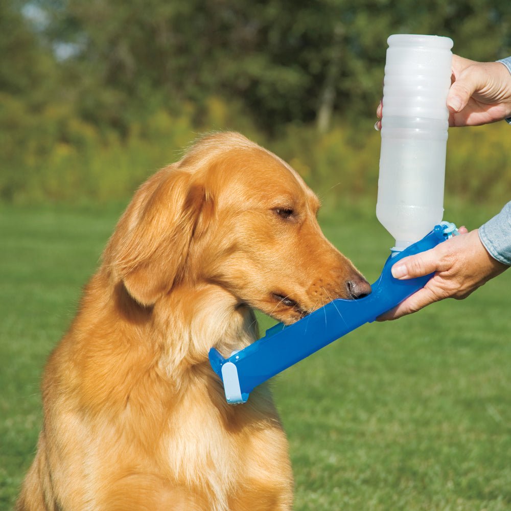 Pawise Travel Bottle 500 ml - all for animals