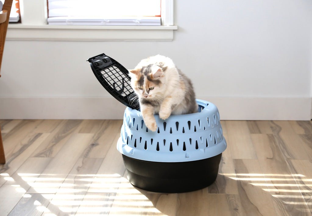 Petmate Get - A - Round Kennel For Cats Blue - all for animals