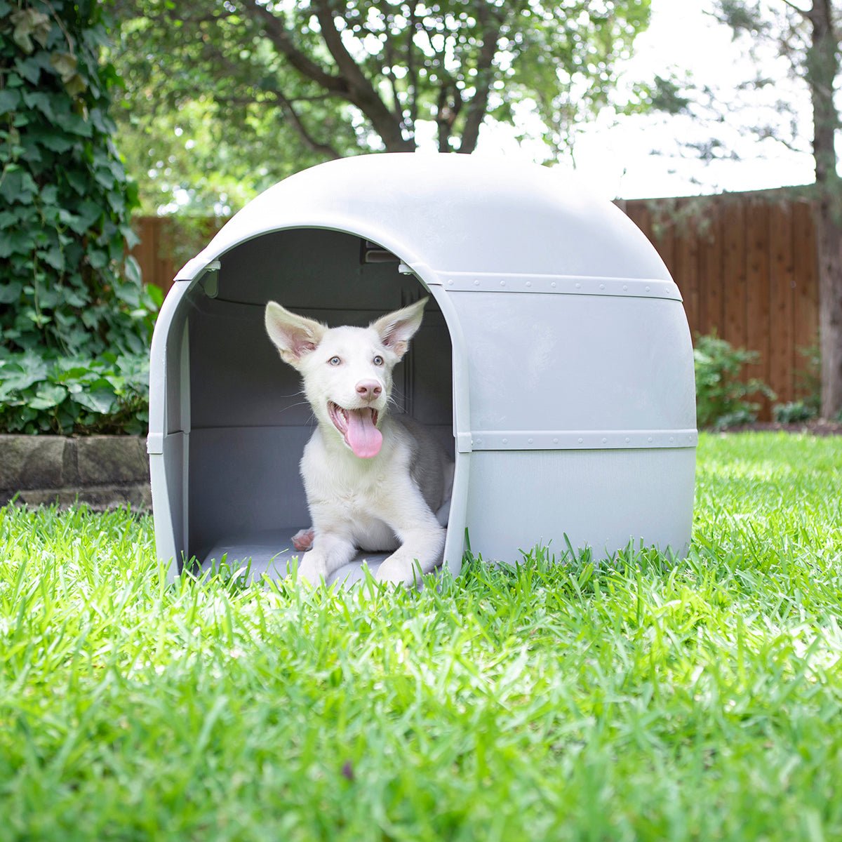 Petmate Husky Dog House - all for animals