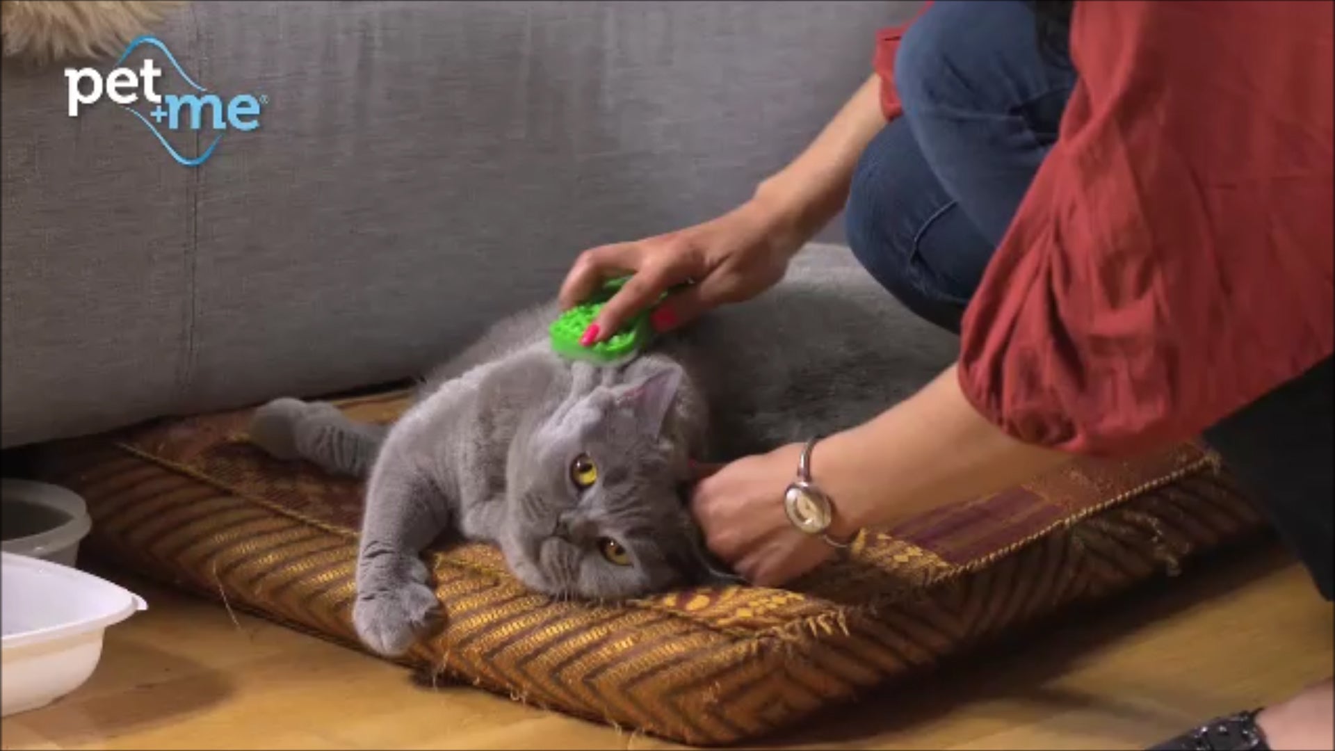 Pet+Me Cat Hair Brush Lang haar Groen - all for animals