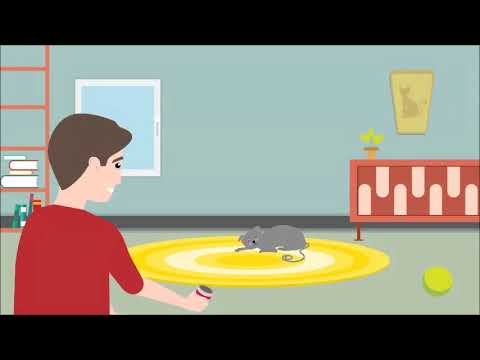 RelaxoPet PRO Kat - all for animals