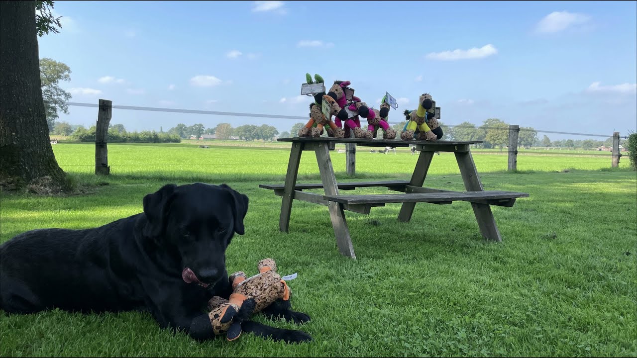 Retrodog Donkey Roze - all for animals