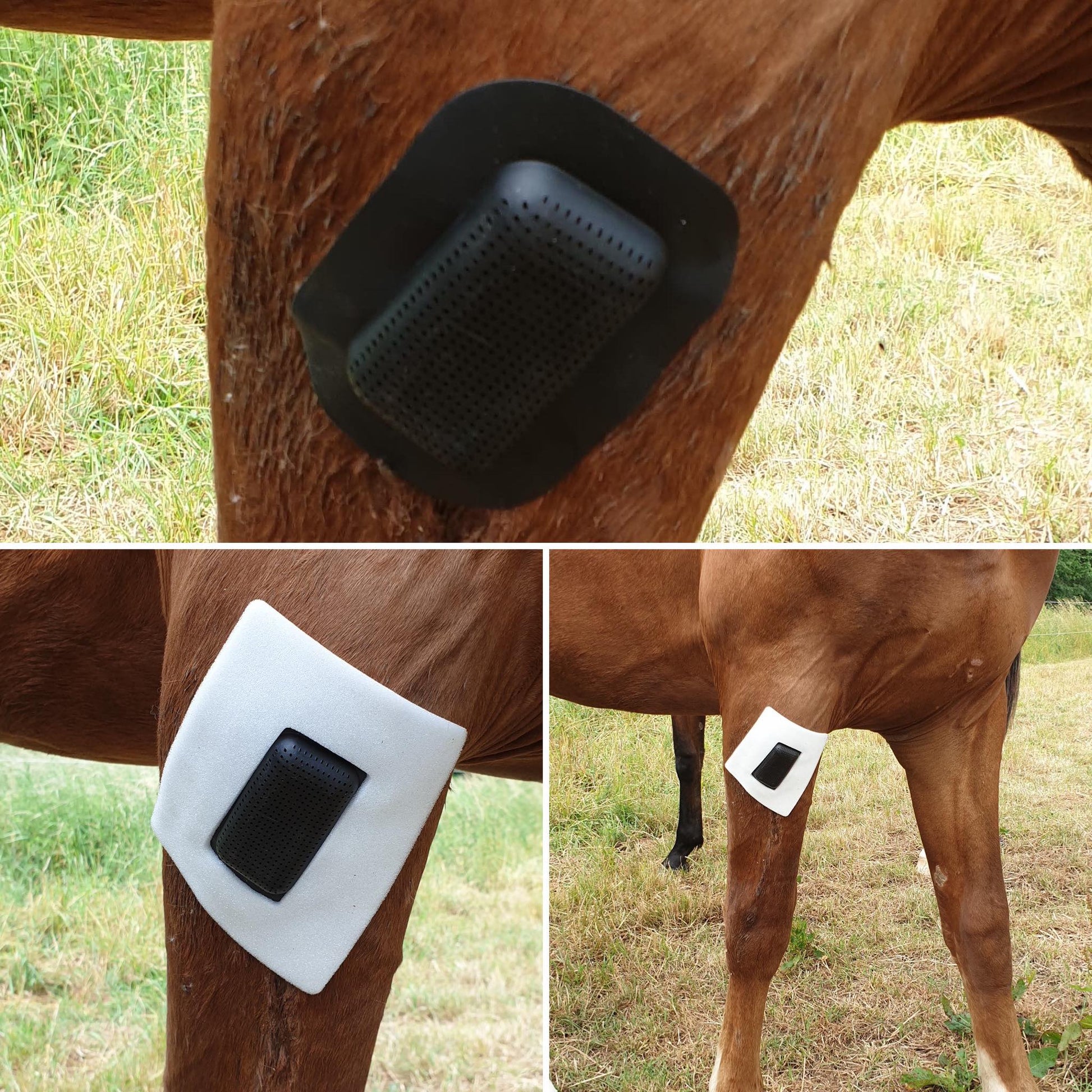 Rheva Combo Wondbescherming - all for animals