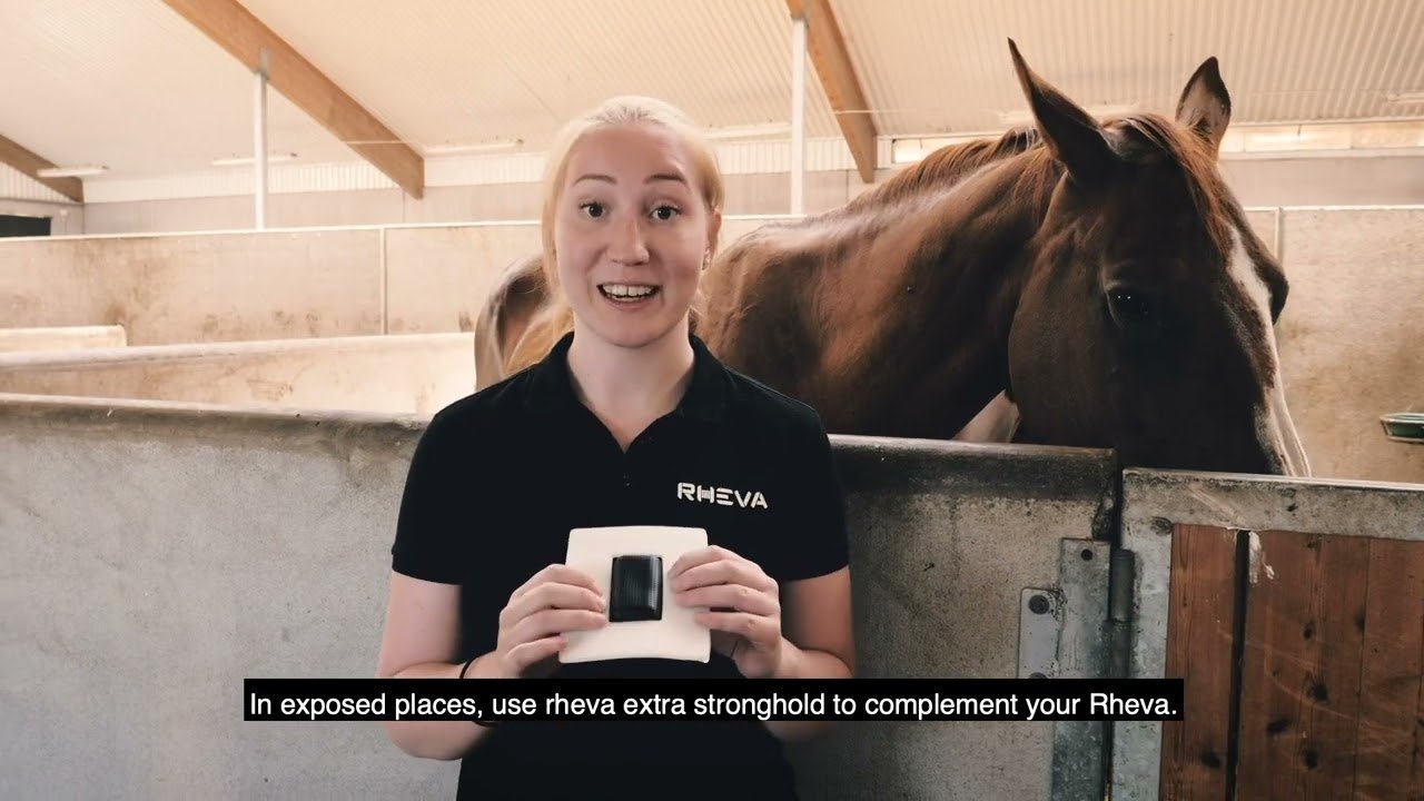 Rheva Extra Strong Combo Wondbescherming - all for animals