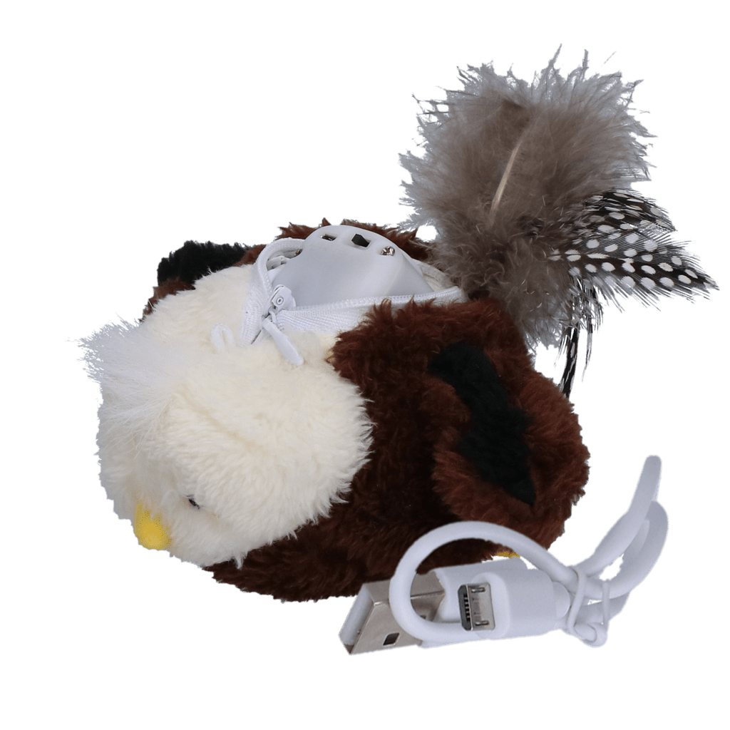 Robocat Adelaar - all for animals