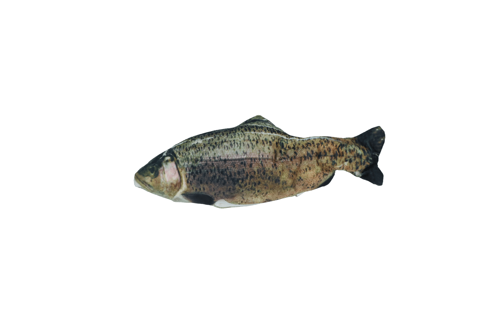 Robocat Forel - all for animals