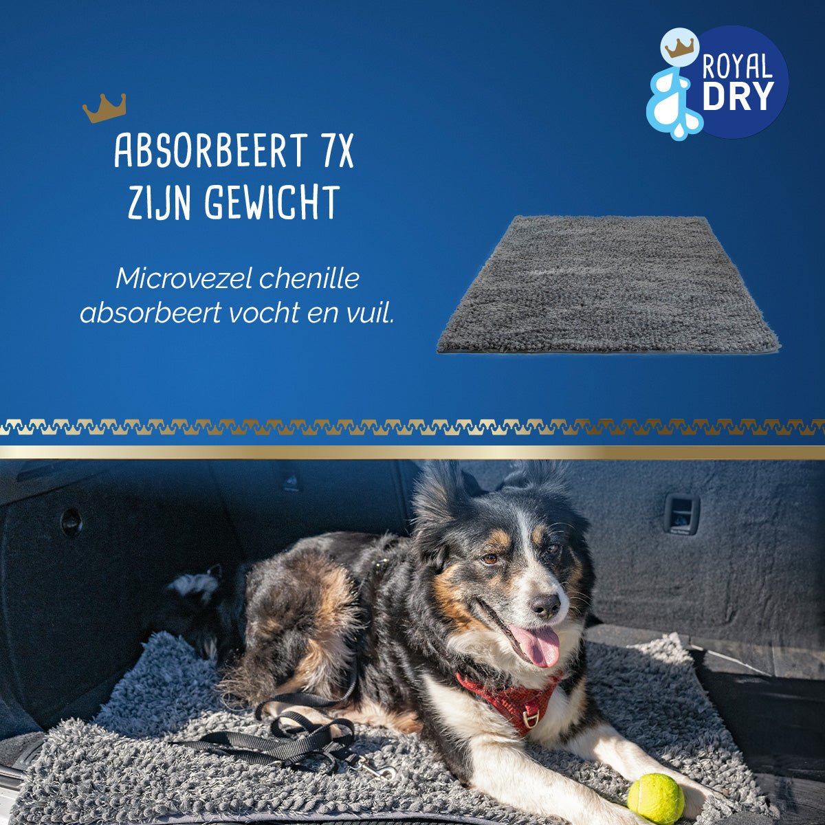 Royal Dry Knoeimat Voor Honden En Katten - all for animals