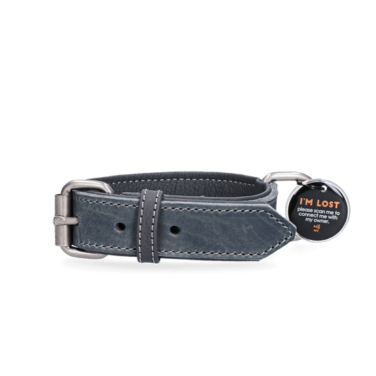 Spotted! Pro Leren Halsband Grijs 3 x - all for animals