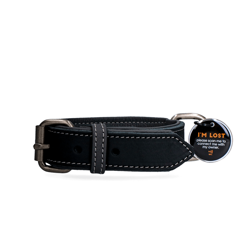 Spotted! Pro Leren Halsband Zwart 2,5 x - all for animals