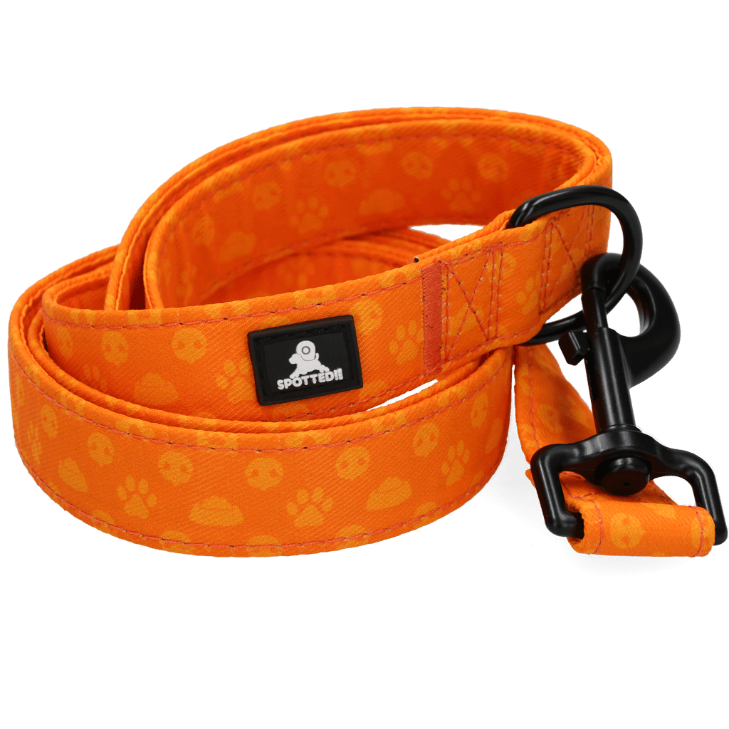 Spotted! Pro Perfect Leash 120 cm - all for animals