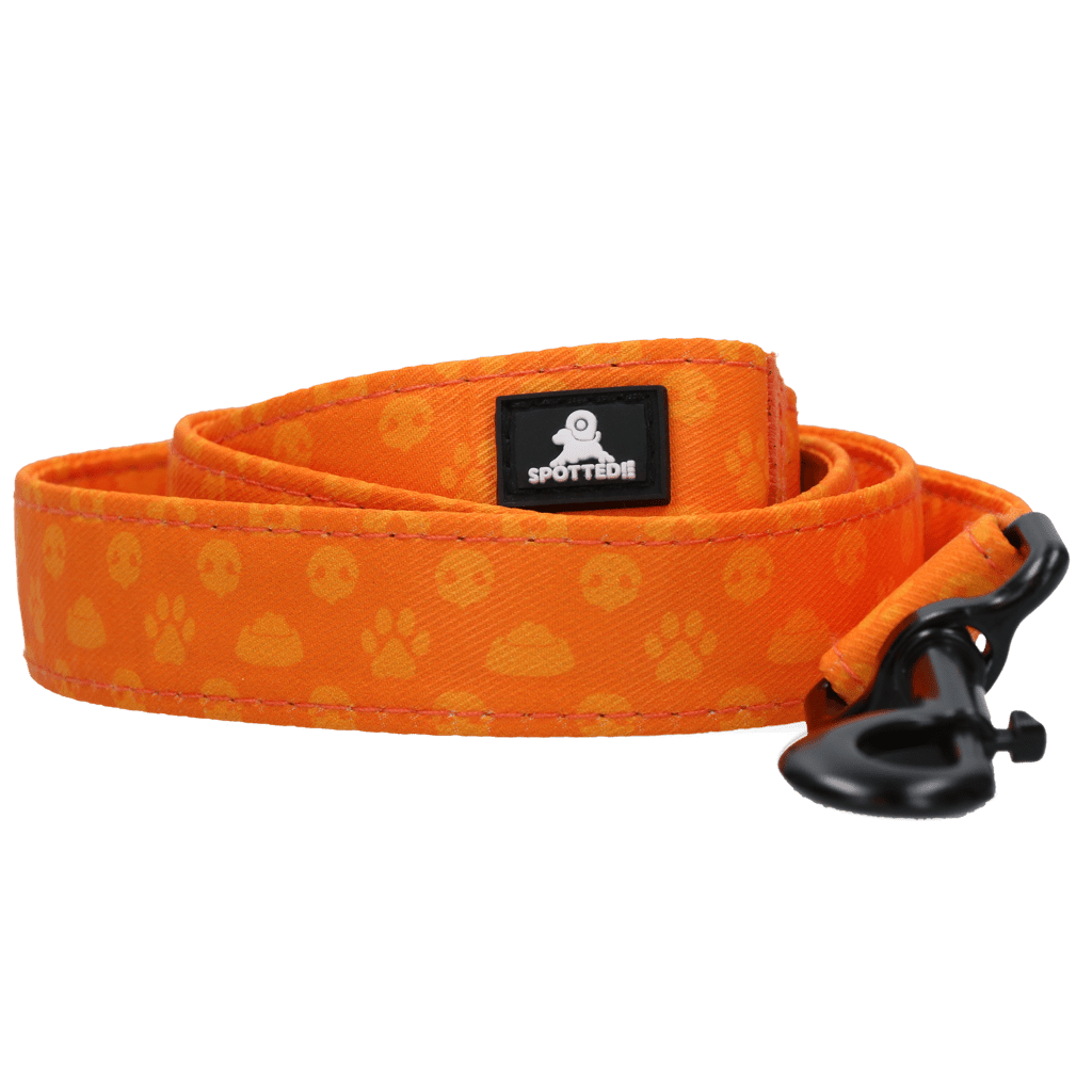 Spotted! Pro Perfect Leash 120 cm - all for animals