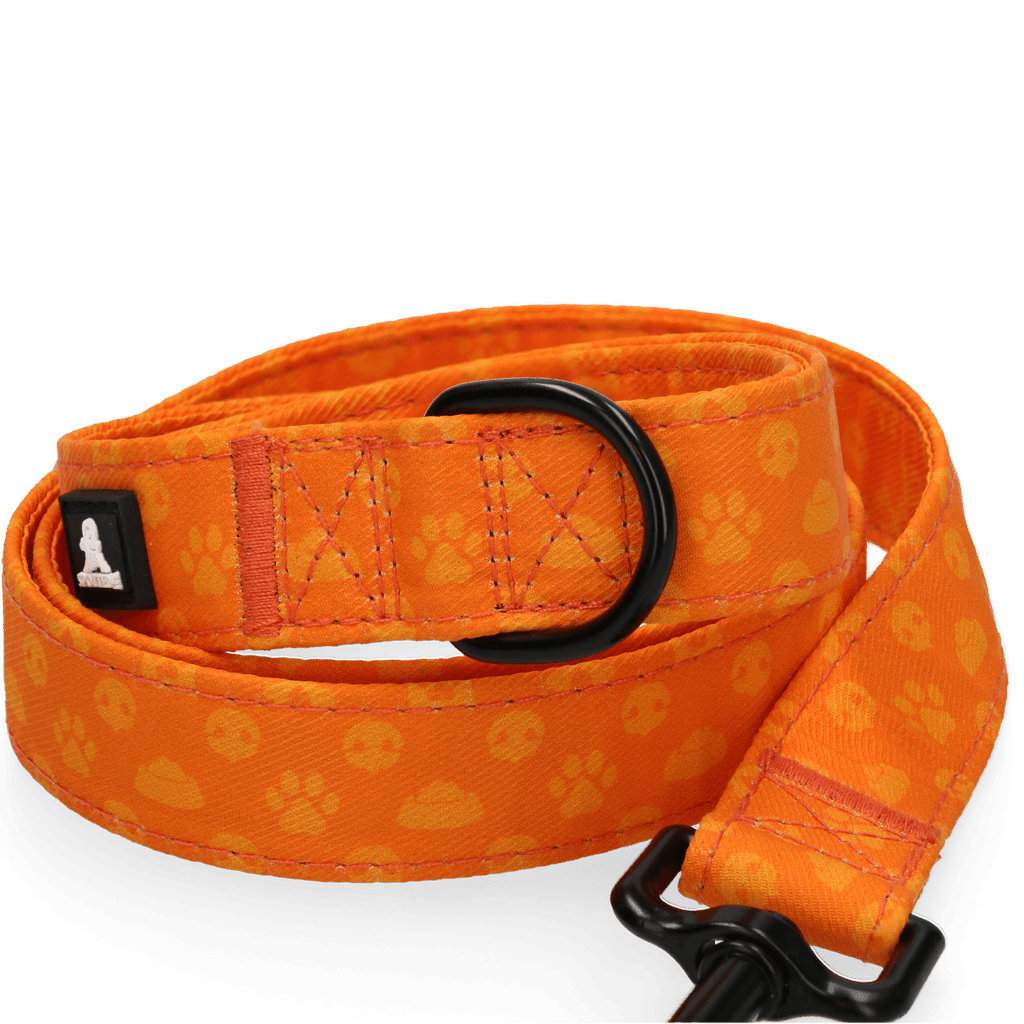 Spotted! Pro Perfect Leash 120 cm - all for animals