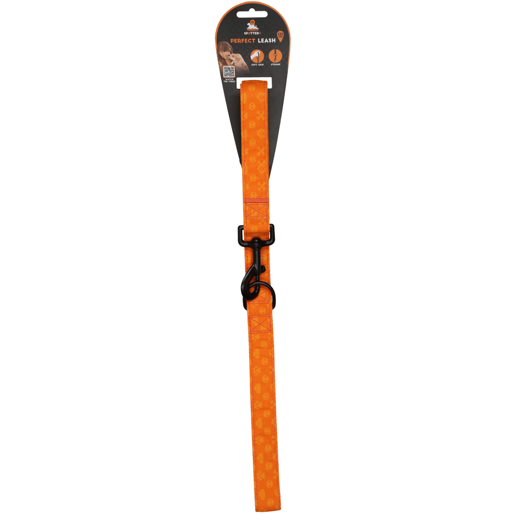 Spotted! Pro Perfect Leash 120 cm - all for animals