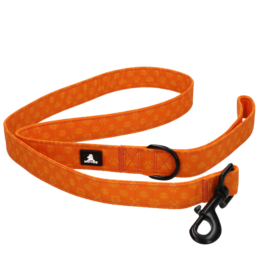 Spotted! Pro Perfect Leash 120 cm - all for animals
