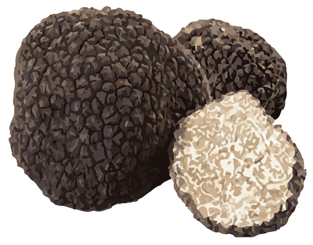SwissCowers Cheese Bars Truffle - all for animals