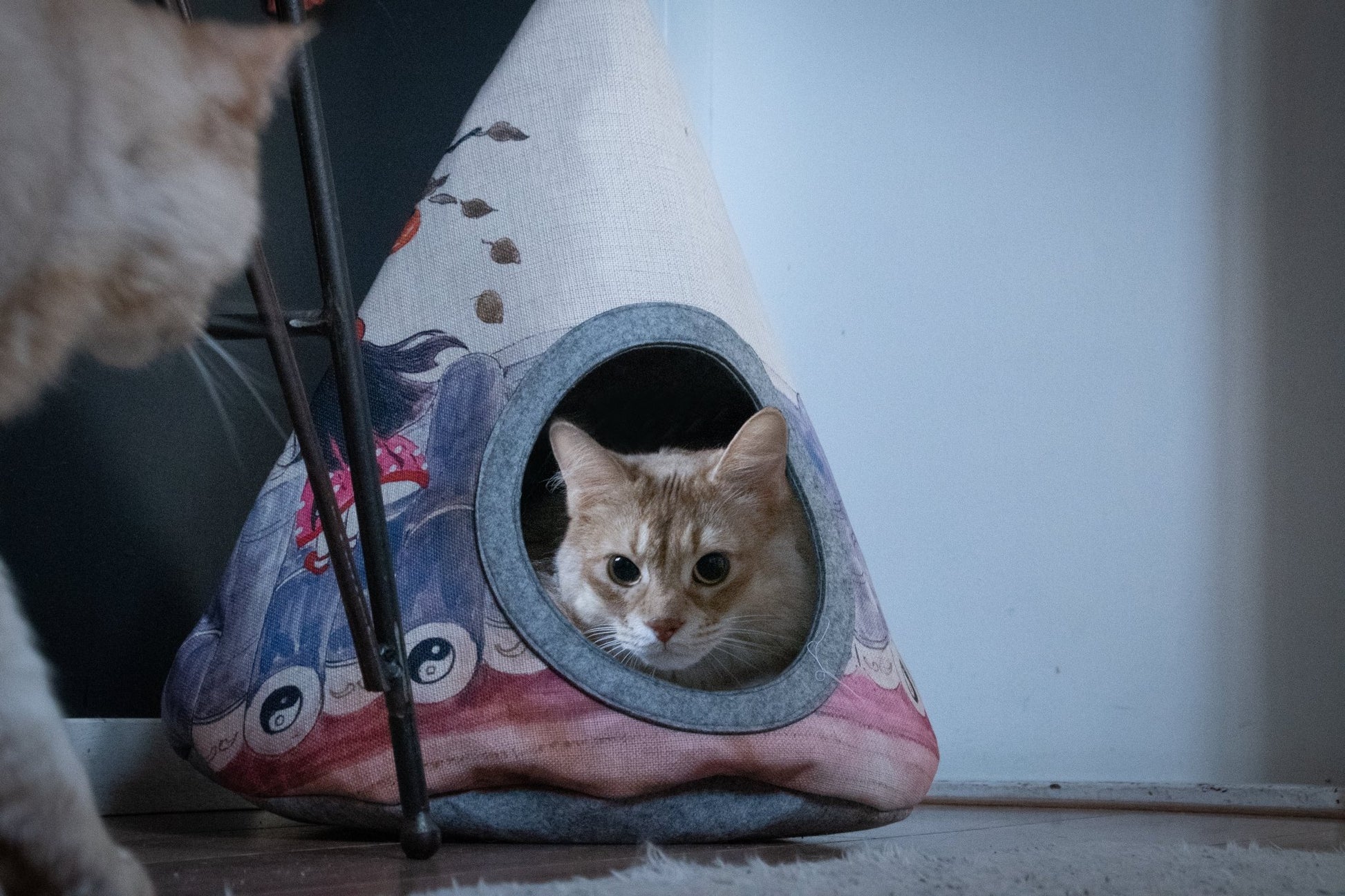 Takara Tipi Yin Yang - all for animals