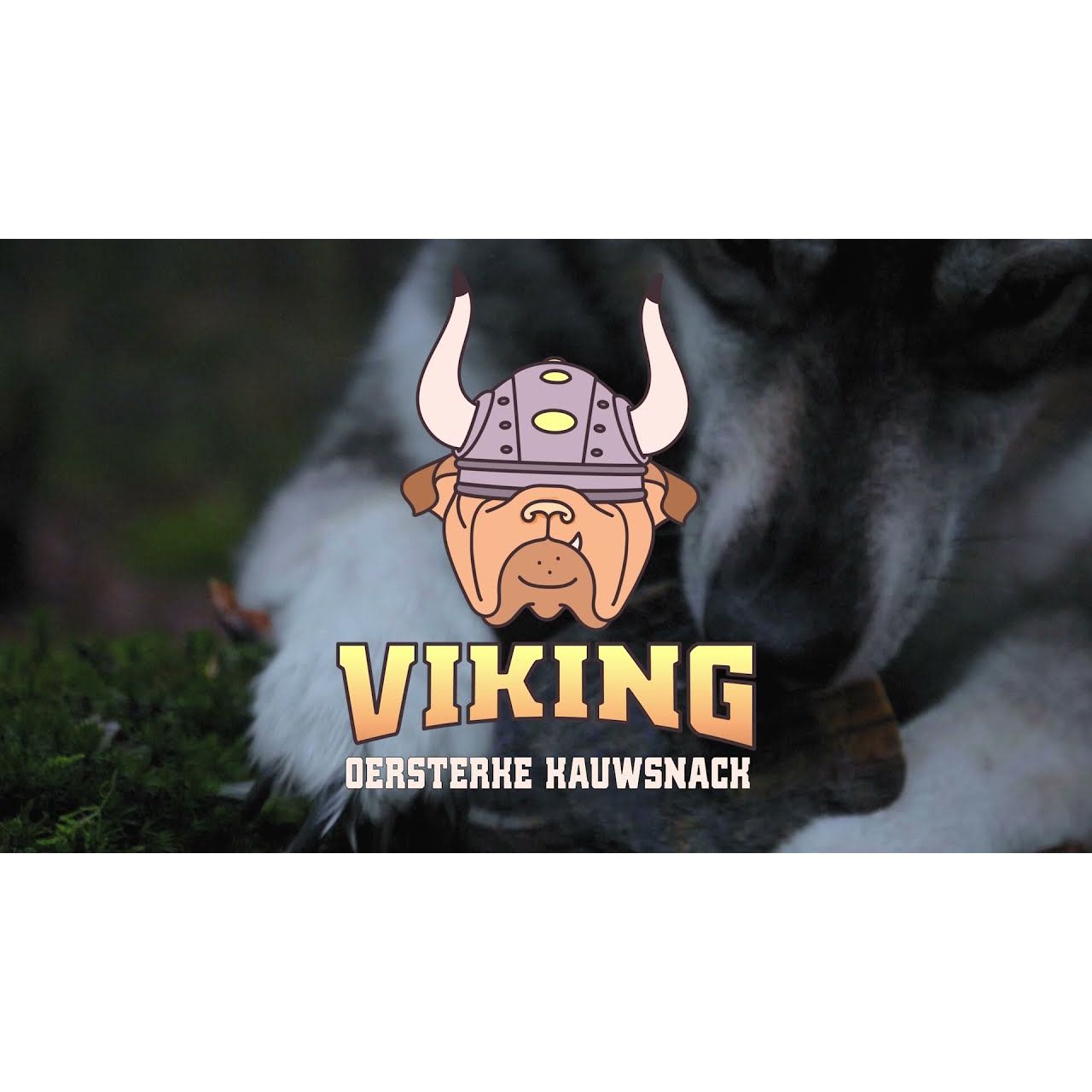 Viking Horn Whole S - all for animals