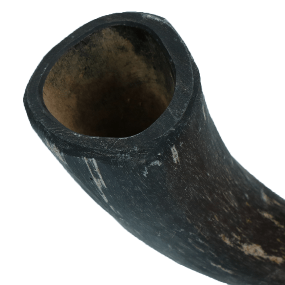 Viking Horn Whole S - all for animals