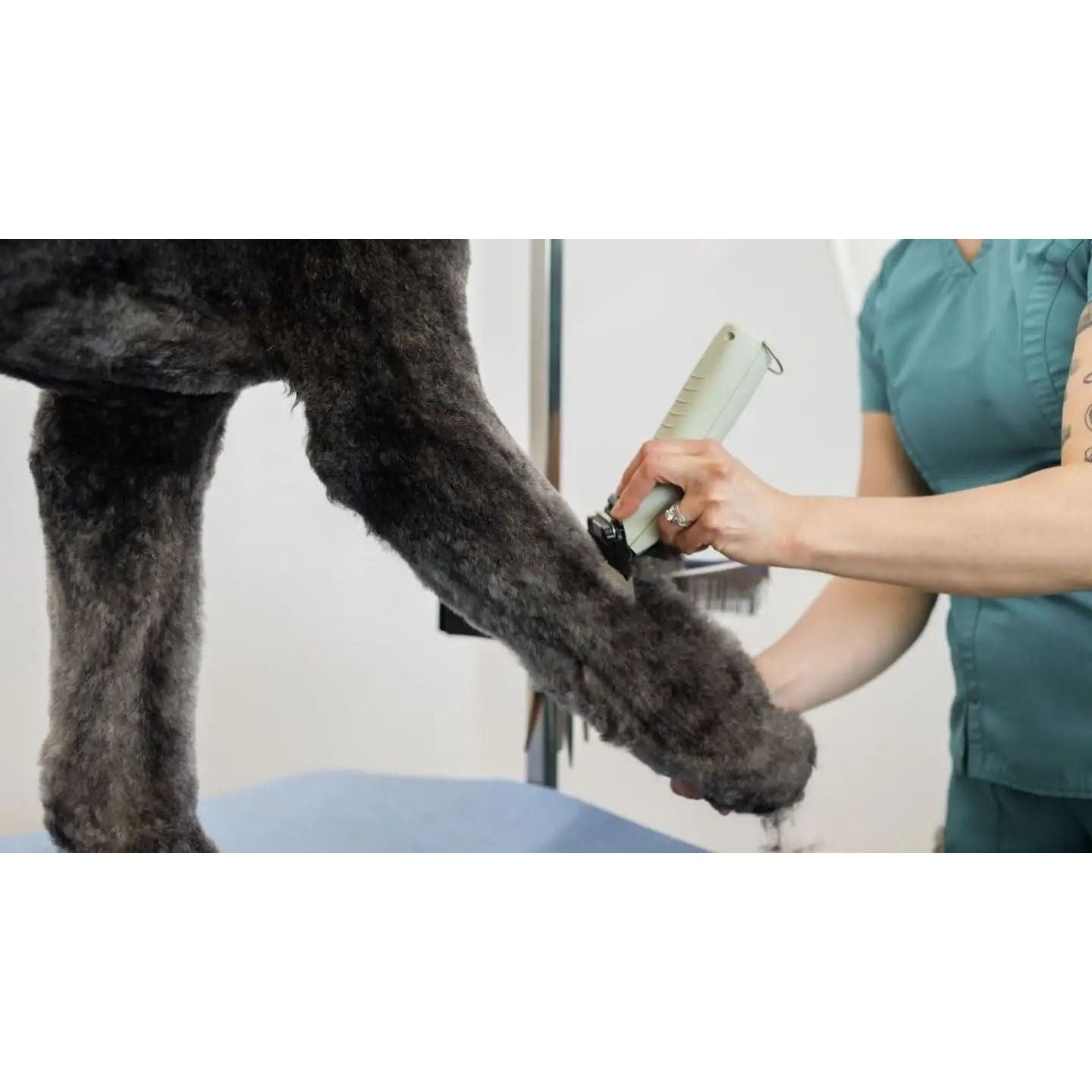 Wahl KMC+ Snoer/Snoerloze Trimmer - all for animals