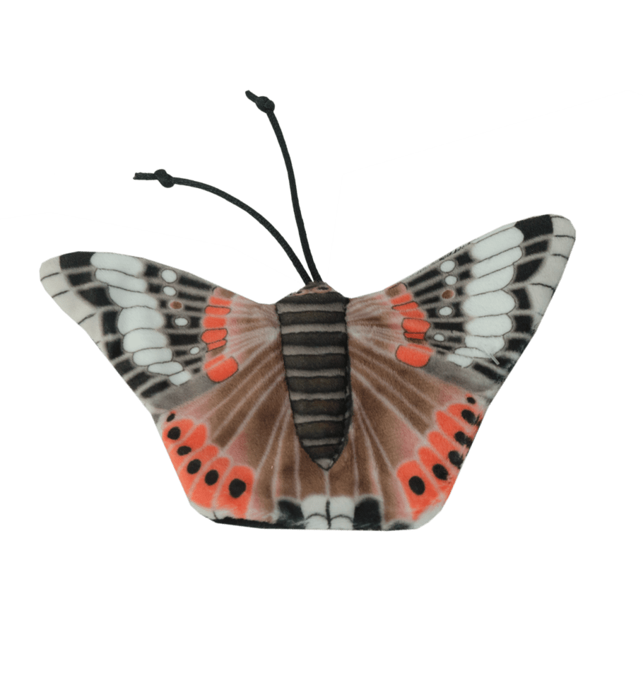 Wild Life Cat Admiraalvlinder - all for animals