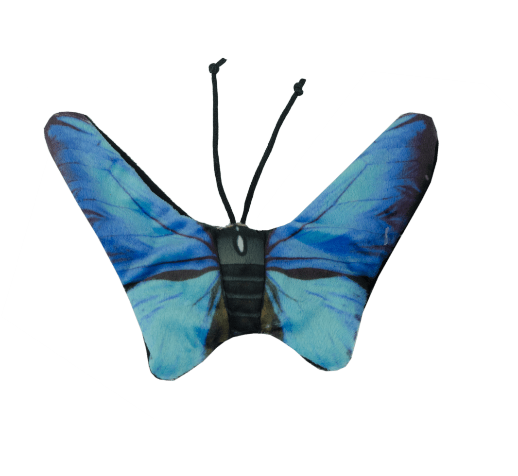 Wild Life Cat Blauwe Vlinder - all for animals