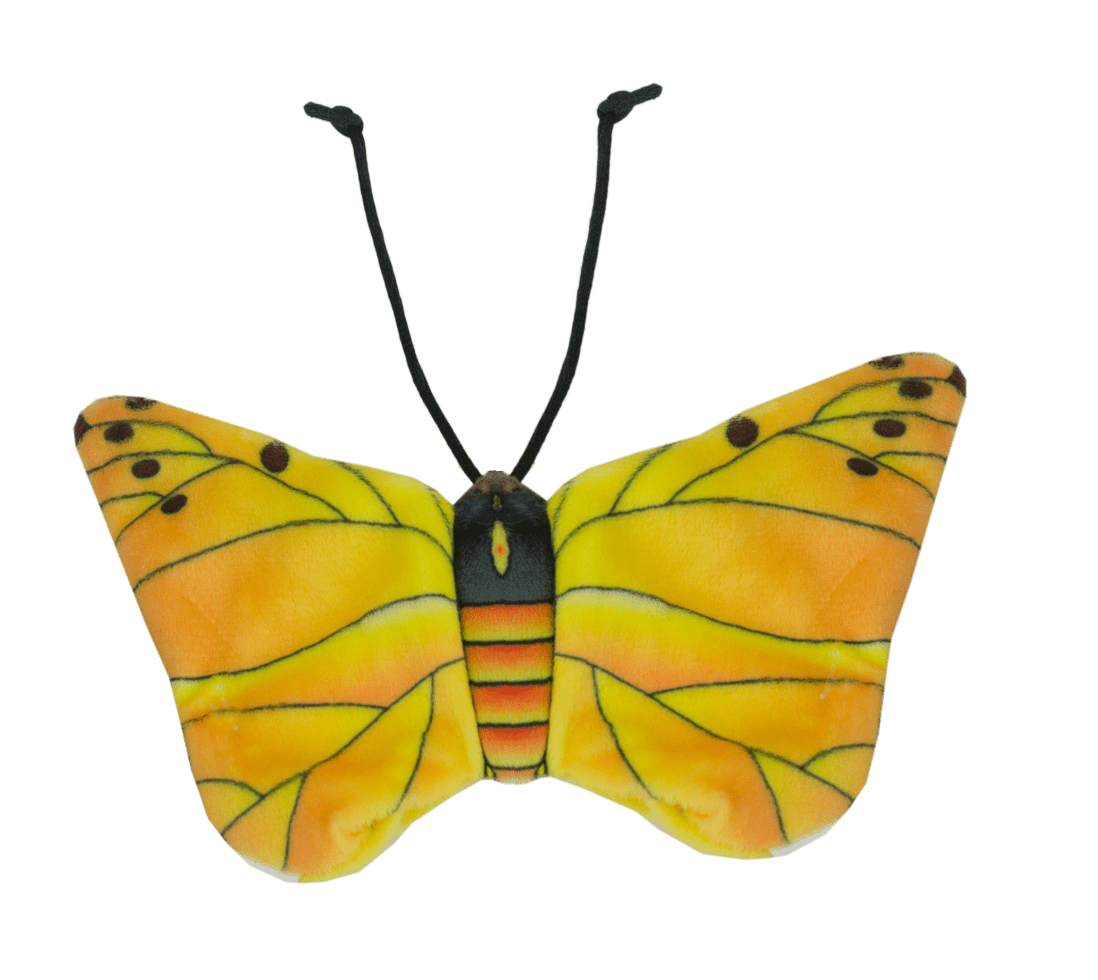 Wild Life Cat Gele vlinder - all for animals