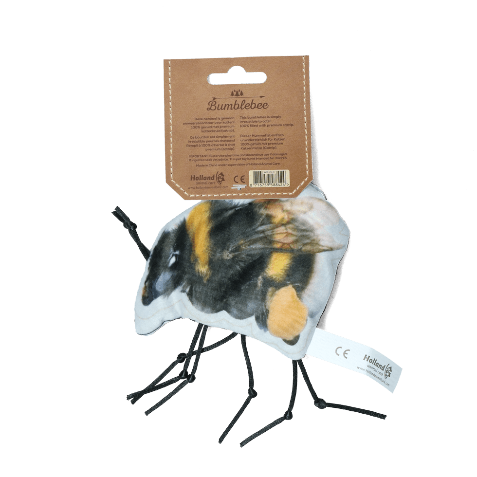 Wild Life Cat Hommel - all for animals