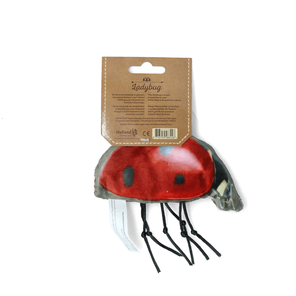 Wild Life Cat Lieveheersbeestje - all for animals