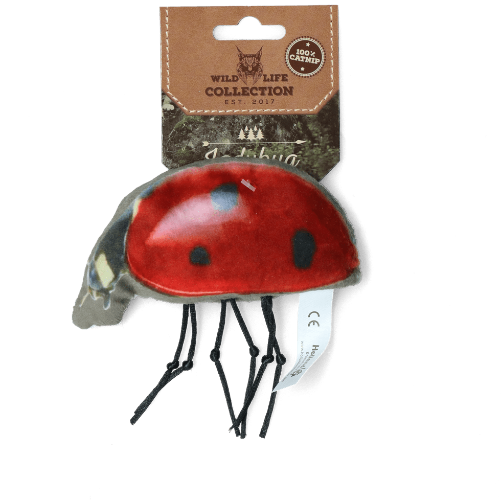 Wild Life Cat Lieveheersbeestje - all for animals