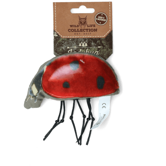 Wild Life Cat Lieveheersbeestje - all for animals