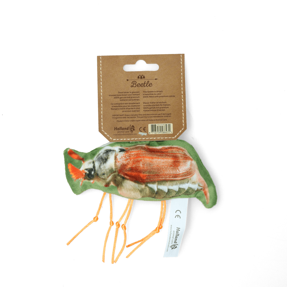 Wild Life Cat Meikever - all for animals