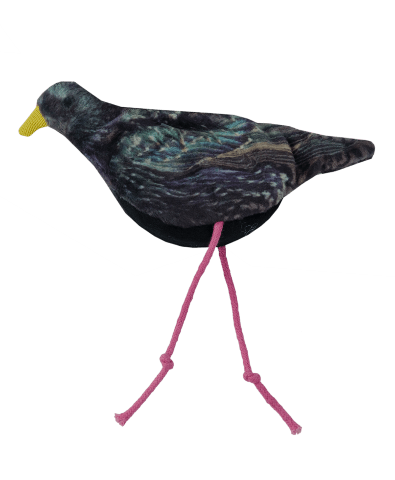 Wild Life Cat Spreeuw - all for animals