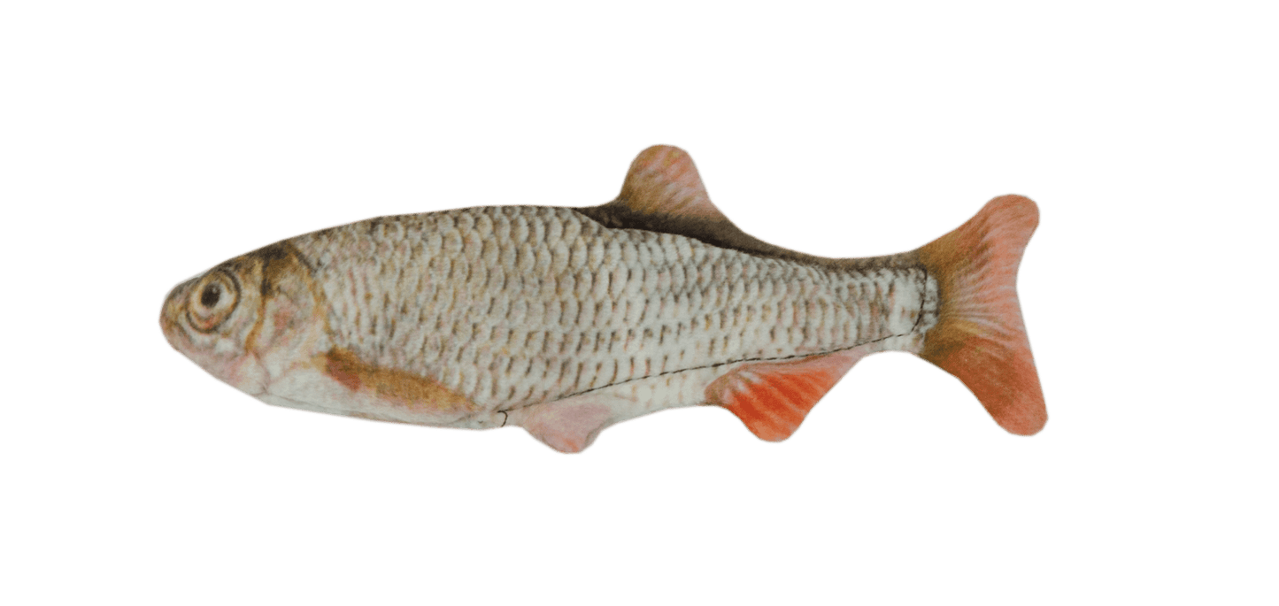 Wild Life Cat Voorn - all for animals