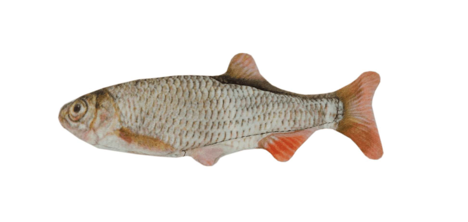 Wild Life Cat Voorn - all for animals