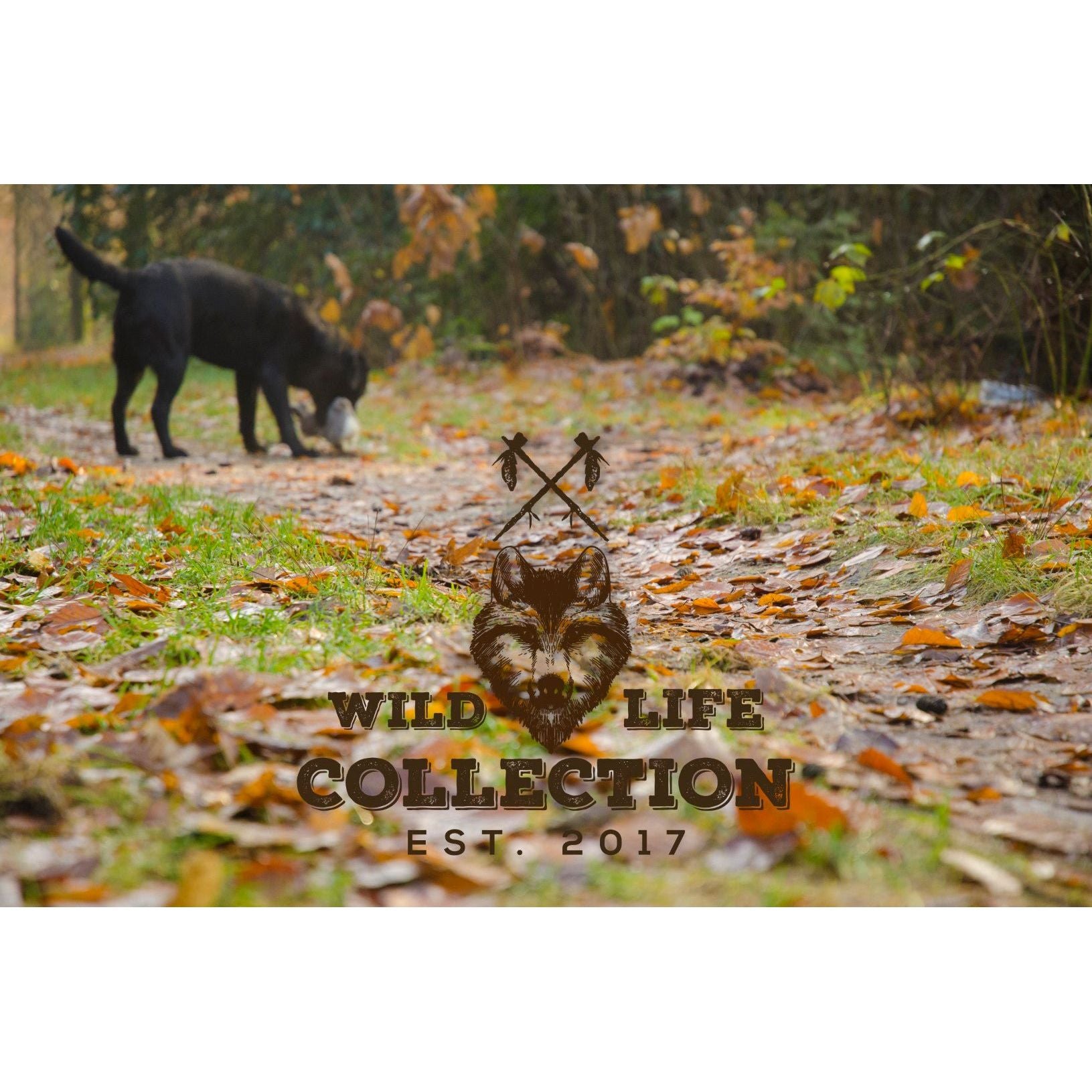 Wild Life Dog Konijn - all for animals