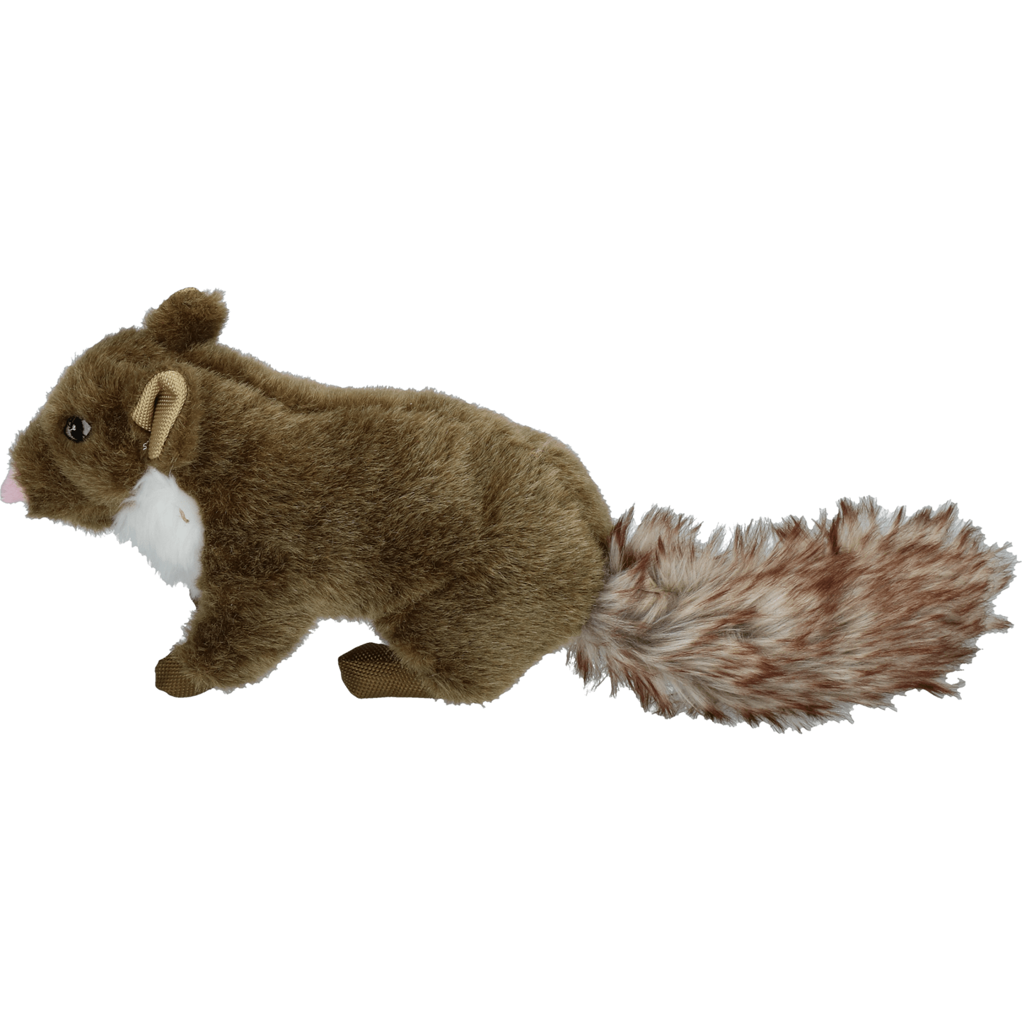 Wild Life Dog Marter - all for animals