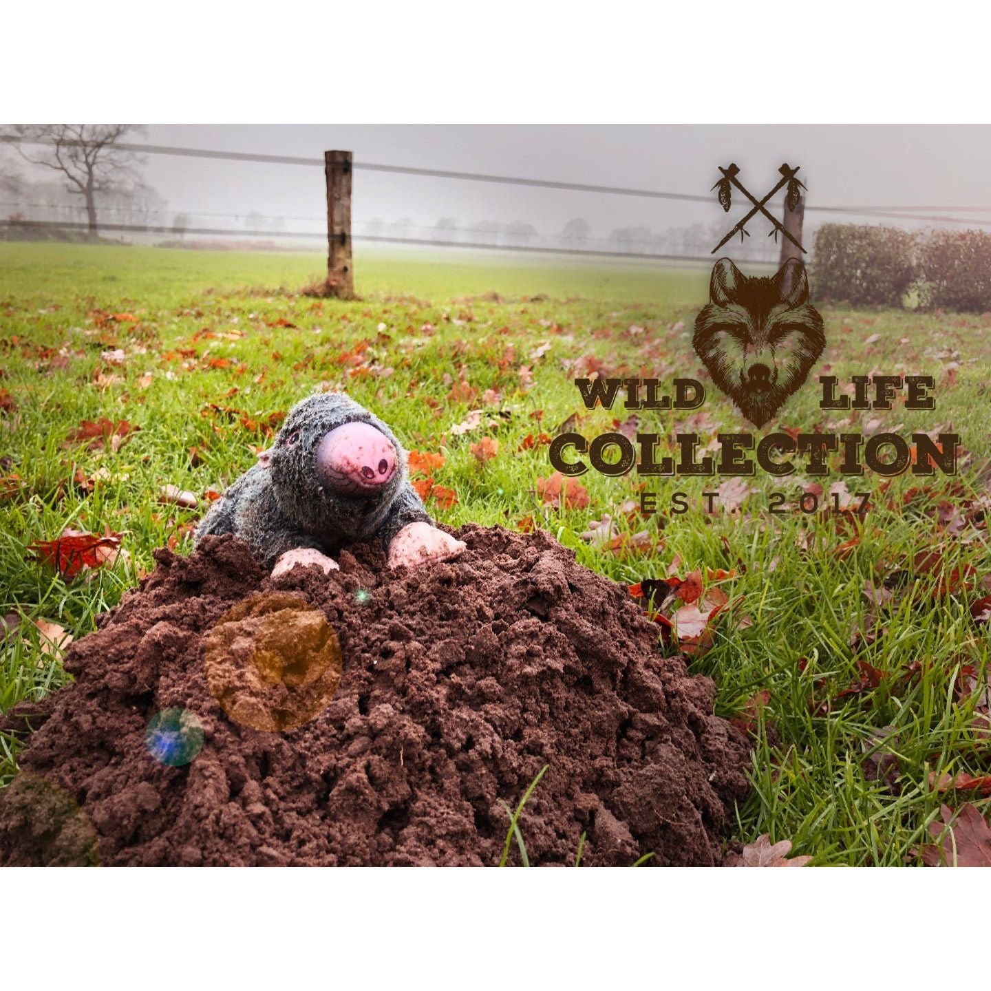 Wild Life Dog Mol - all for animals